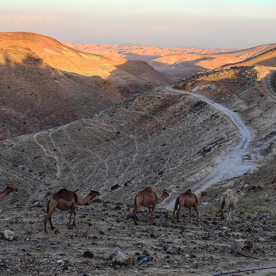 Dead Sea Desert'S Edge Arad Exteriér fotografie