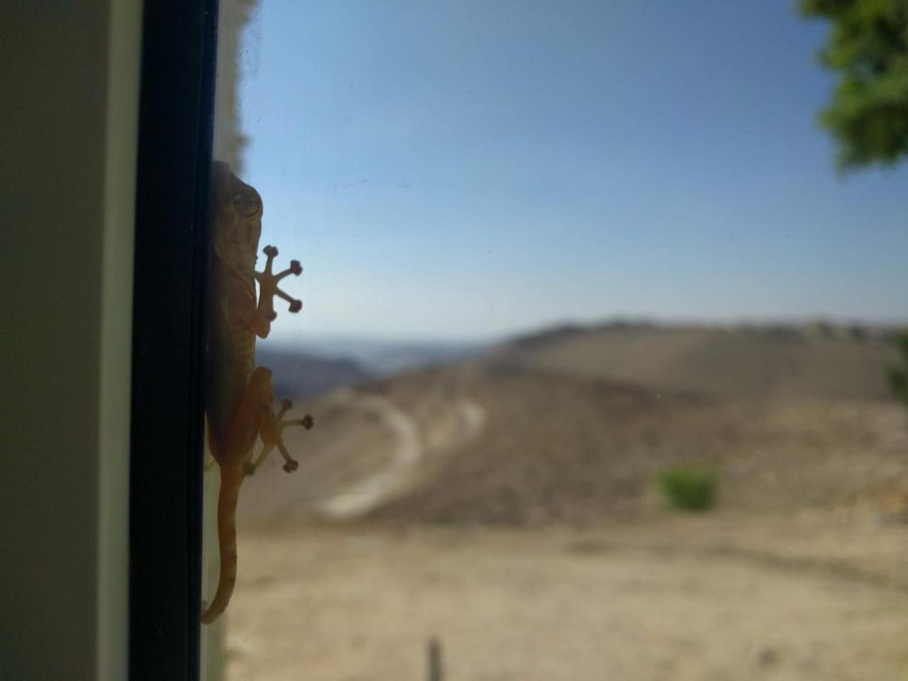 Dead Sea Desert'S Edge Arad Exteriér fotografie
